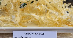 vi cá mập sợi cước