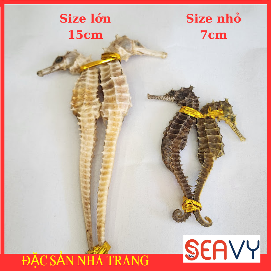 cá ngựa khô